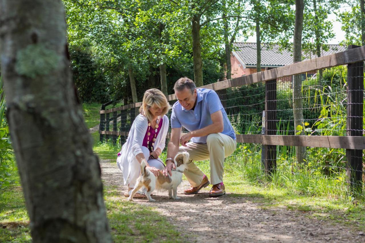The Lakes Rookley Eksteriør bilde Visitors at the park